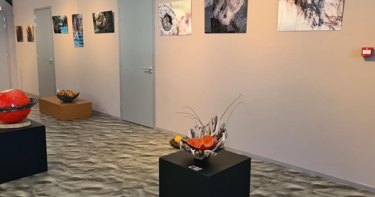Keramiek, hout en fotografie brengen de natuur dichtbij in expositie in Den Nul