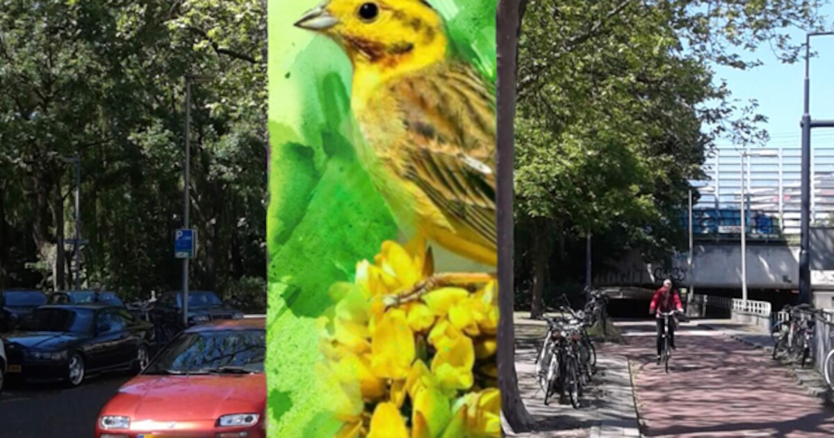Aanplakzuilen in Gronsveld en Cadier en Keer krijgen kunst | Foto