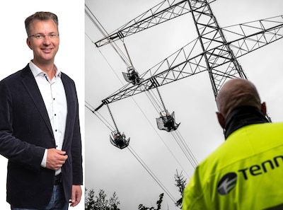 Power grid full because geese took priority