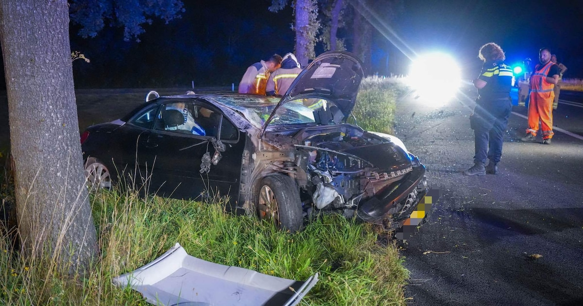 Vrouw mishandelt agent na botsing tegen boom op N34 bij Eext