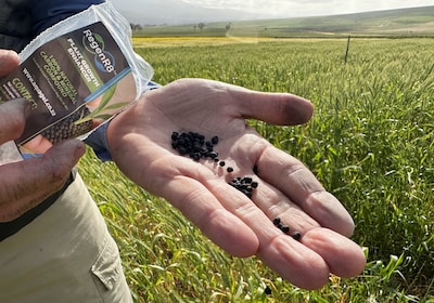 Image related to the article