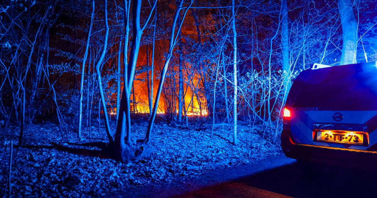 Bosbrand aan Dorresteinseweg in Amersfoort