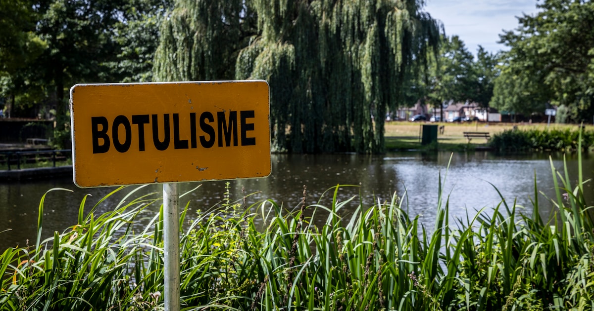 Botulisme vastgesteld in slootwater Krimpenerwaard, risico voor mensen is laag