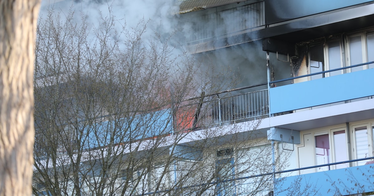 LIVE | Grote flatbrand in Bergen op Zoom: zwaargewonde bewoner verdacht van brandstichting, mensen o