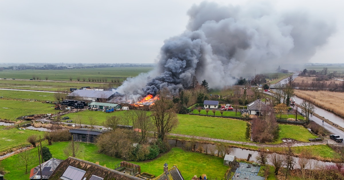 Brand in koeienstal op Wagendijk in Kockengen