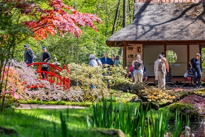 Dit moet je weten voordat je de Japanse Tuin bezoekt