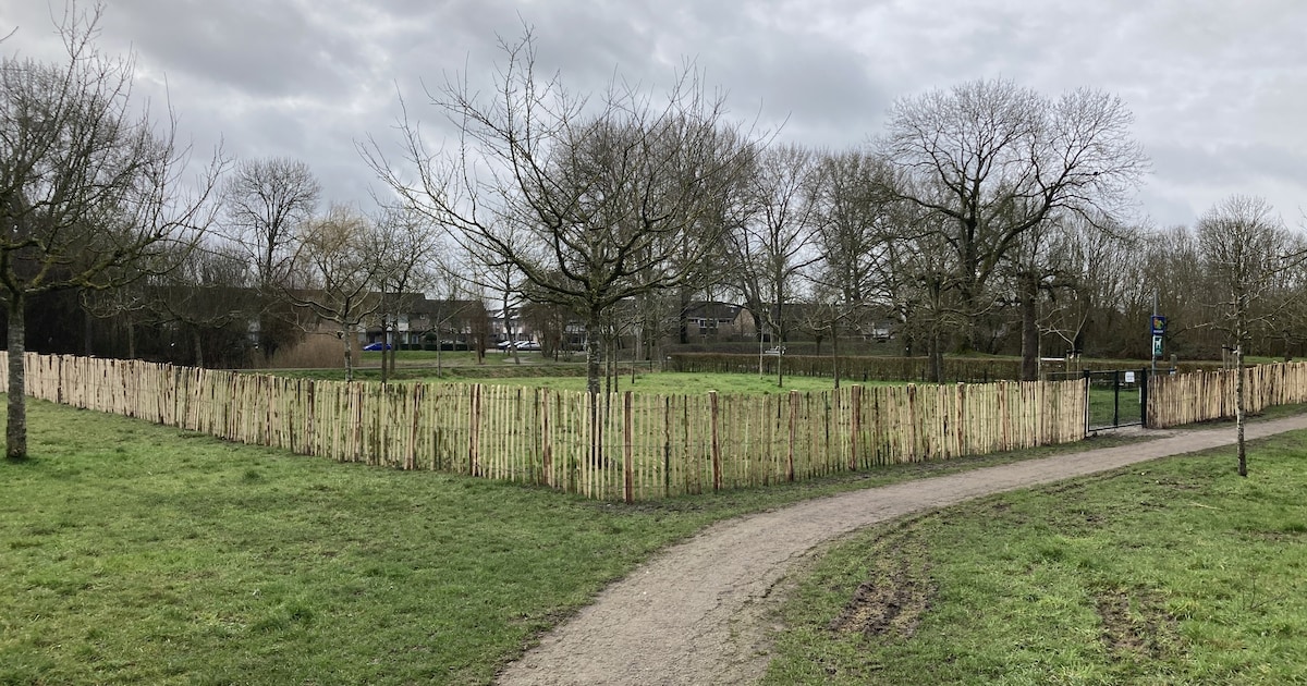 Nieuw hondenlosloopgebied in Stadspark Montfoort
