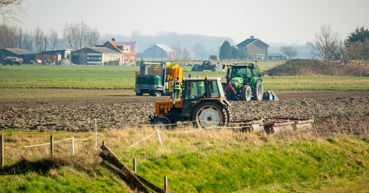 Dodelijk ongeval op weiland in Rockanje: man (62) raakt bekneld in landbouwmachine en overlijdt