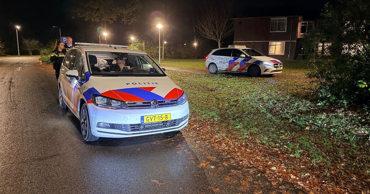 Zoektocht naar een man die vrouw zou hebben betast bij station Ermelo
