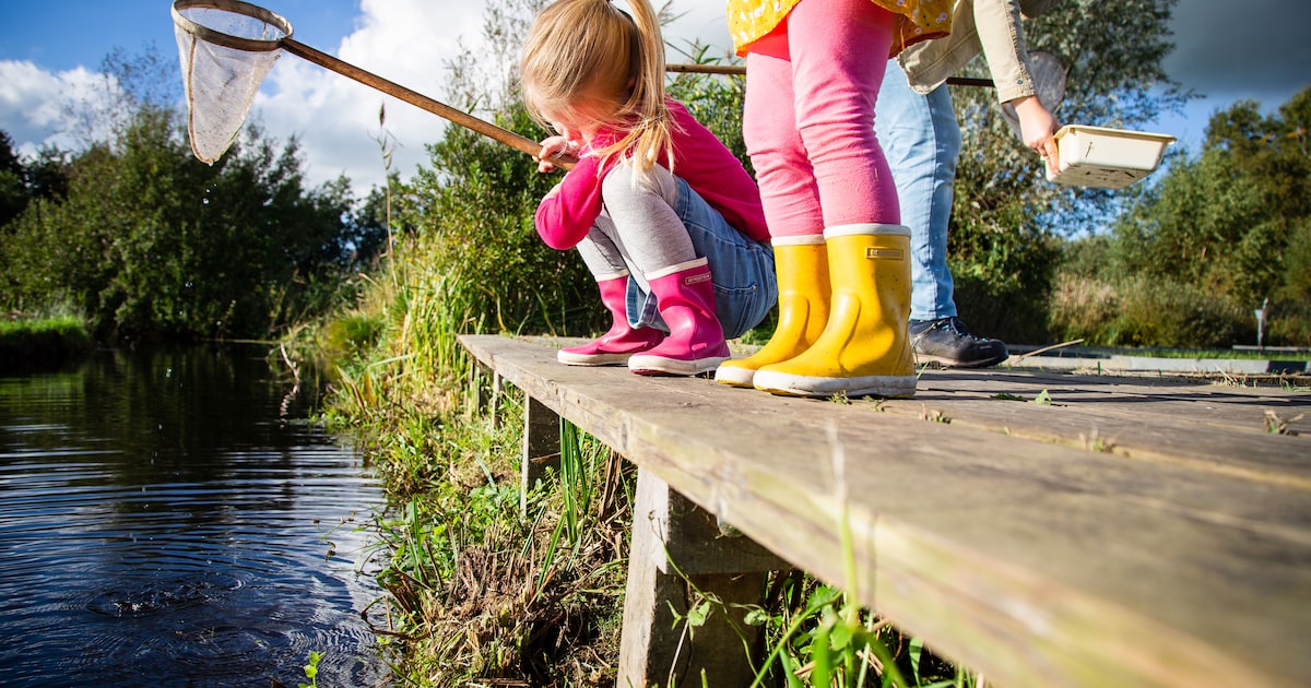 Waterdiertjes ontdekken bij Bezoekerscentrum De Wieden in Sint Jansklooster