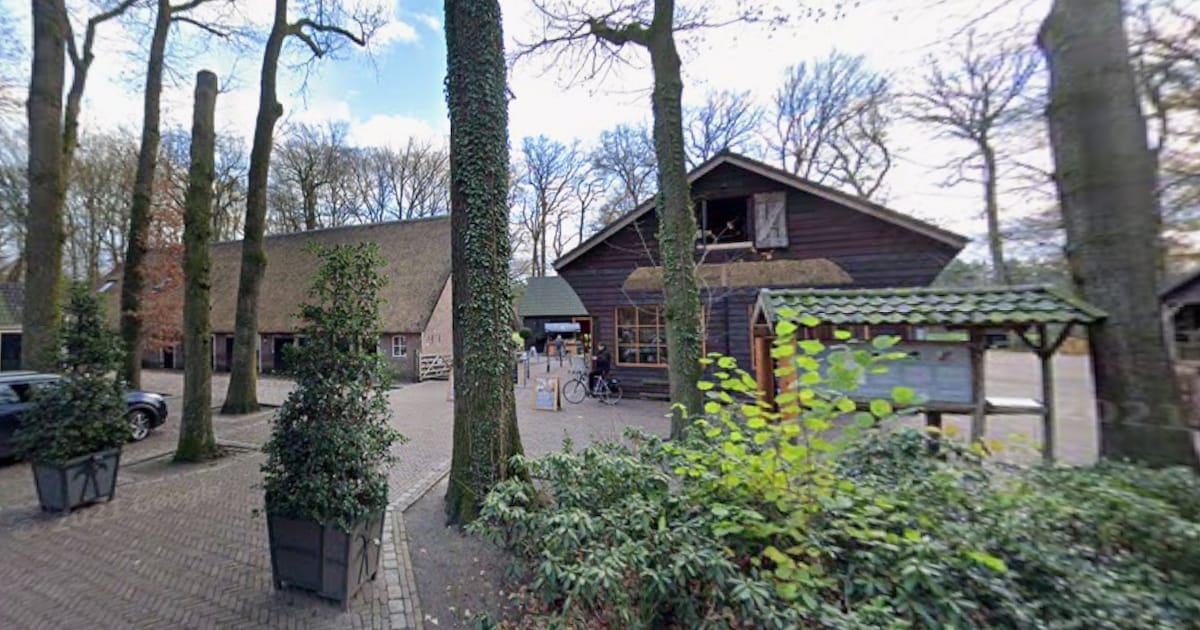 Boeren Zomermarkt bij Hoeve Ravenstein in Baarn