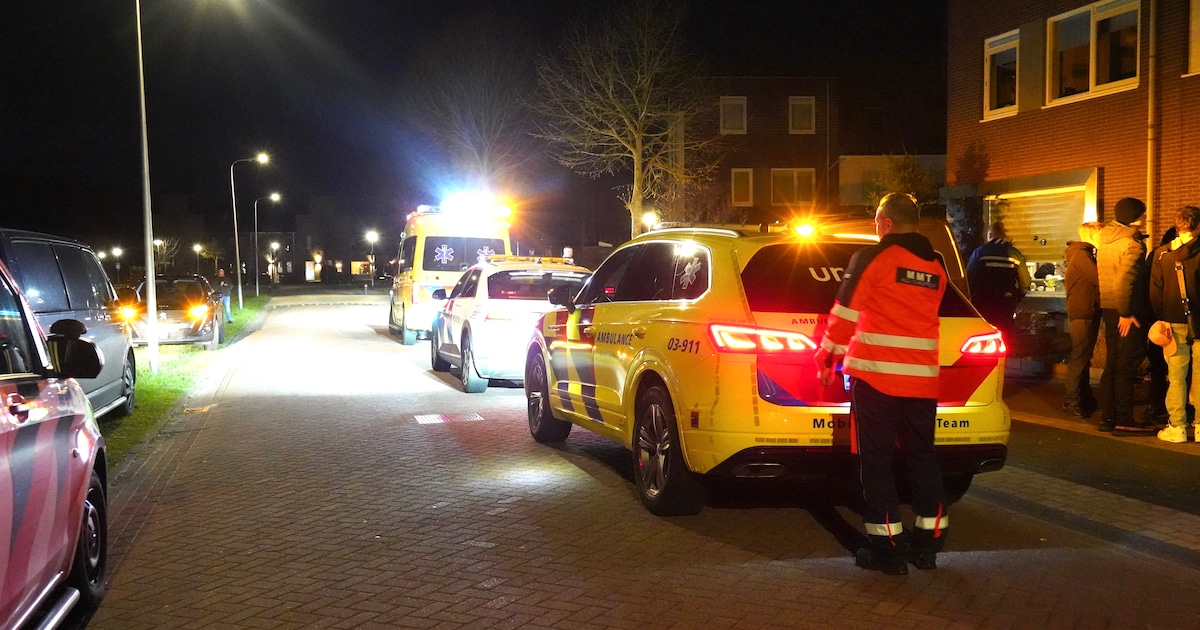 Steekpartij op Hildegard van Bingenweg in Assen