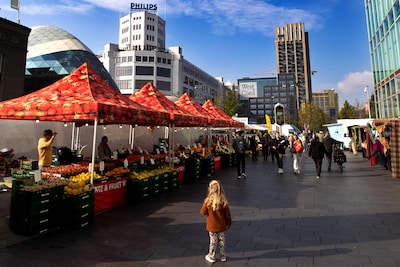 Image related to the article