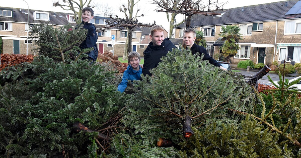 Kerstboominzameling in Nieuwkoop verplaatst naar 14 januari