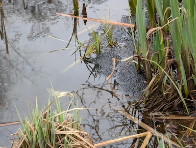 Image related to the article