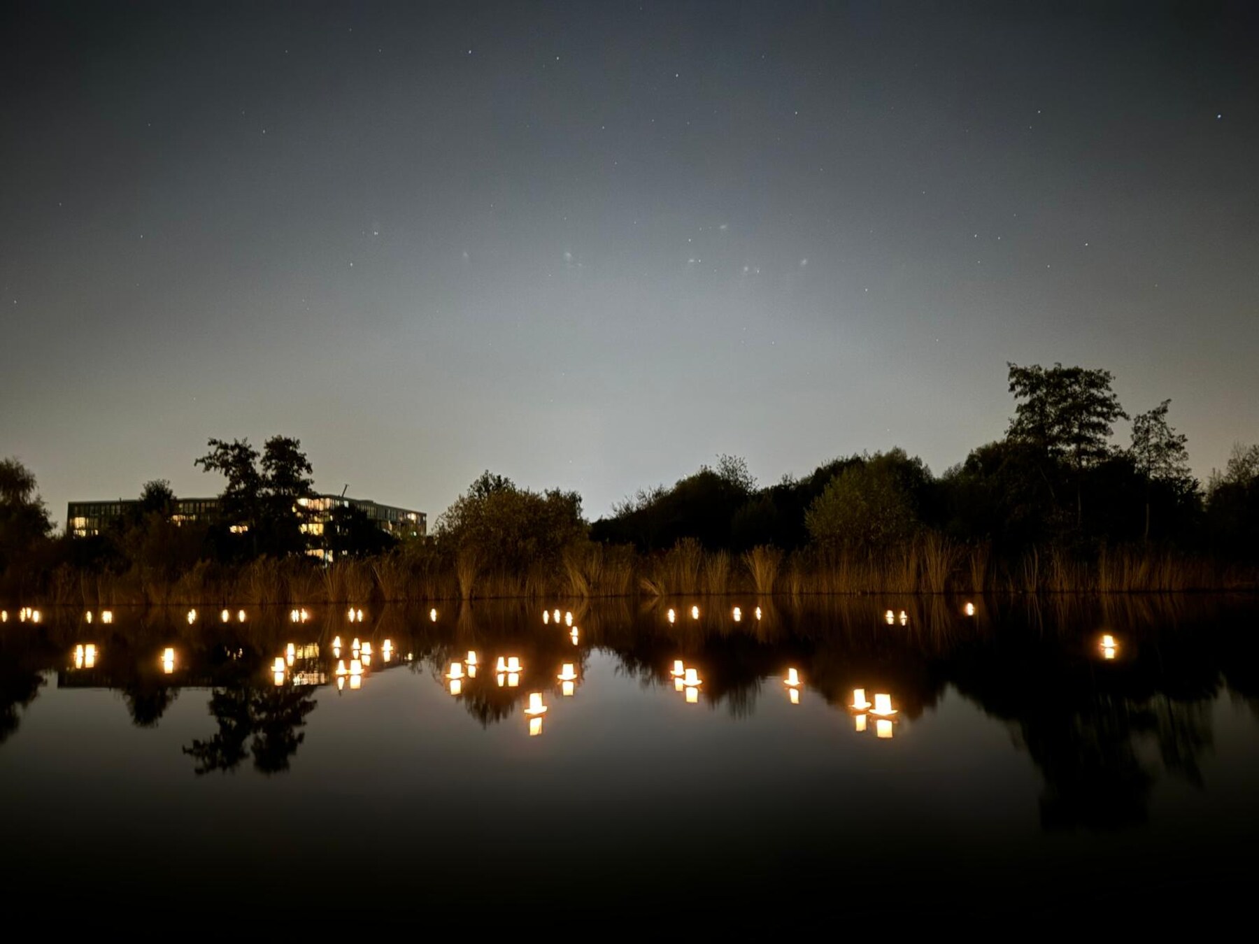 Allerzielen: laat op 2 november een kaarsje op het water ter herdenking in het Griftpark