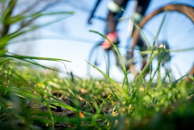 Image related to the article