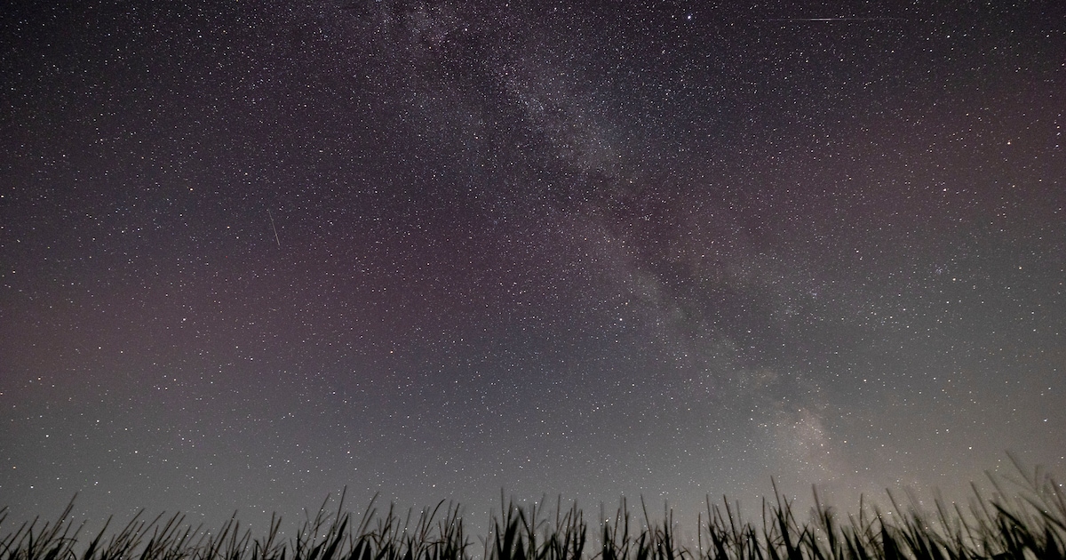 Sterrenwandeling in De Wijk met astronoom Theo Jurriëns