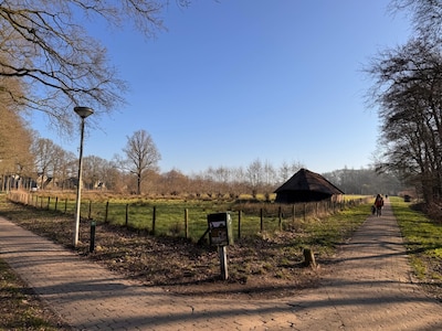 Uittips: dit doe je in Amersfoort dit weekend (9 – 11 jan)