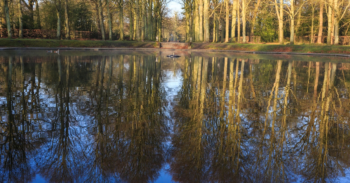 Natuurmonumenten herstelt spiegelvijver, ijskelder en bloemenwaaier op Beeckestijn in Velsen-Zuid