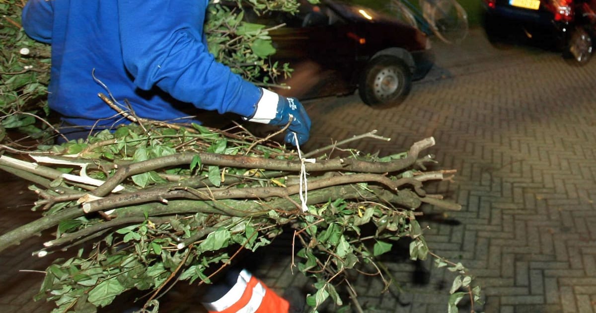 Gemeente Bunschoten haalt grof tuinafval gratis op