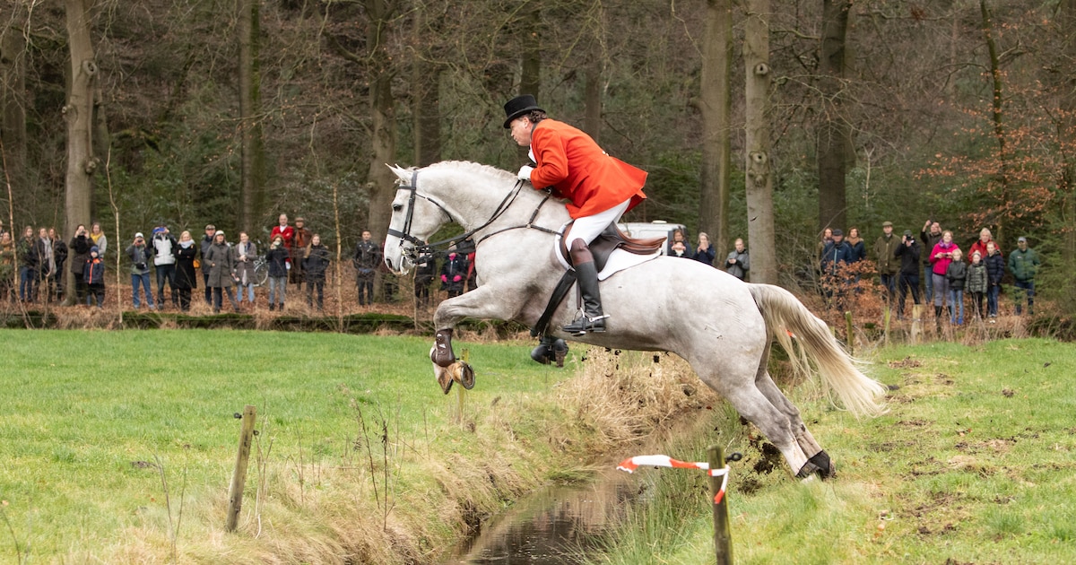 Exloo decor regiokampioenschappen ponyrijden