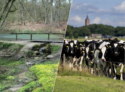 CDA-fracties in Noordoost-Twente luiden noodklok om stikstofplannen: ‘Raken regio onevenredig hard’