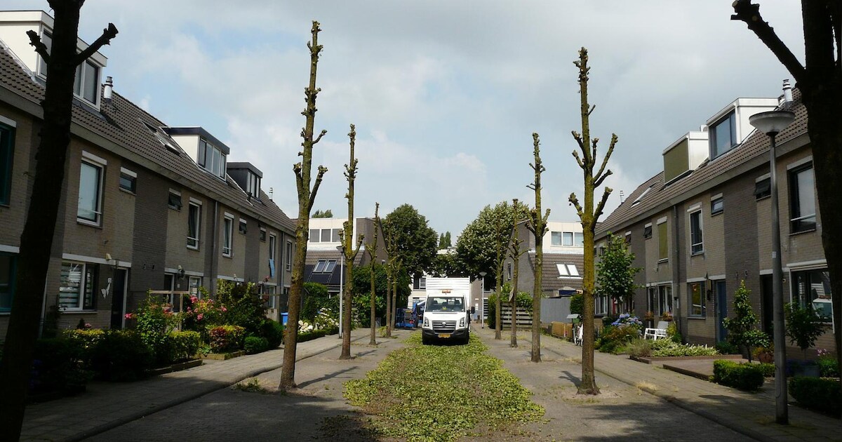 K.P.C. de Bazelstraat wordt Totempaallaan na snoeien bomen