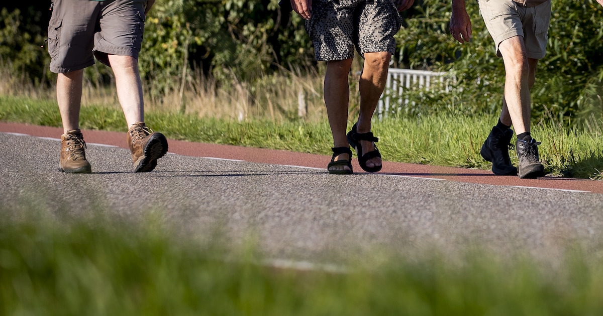 Herfstwandeling voor volwassenen op de Ommermars