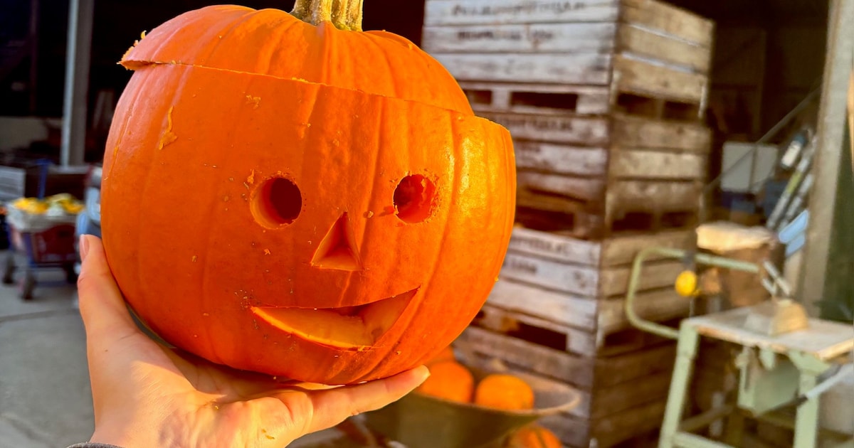 Maak je eigen Halloweenlantaarn in de bibliotheek Hellevoetsluis