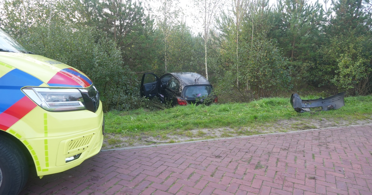 Automobilist raakt van weg en belandt in bosjes bij Zuidwolde