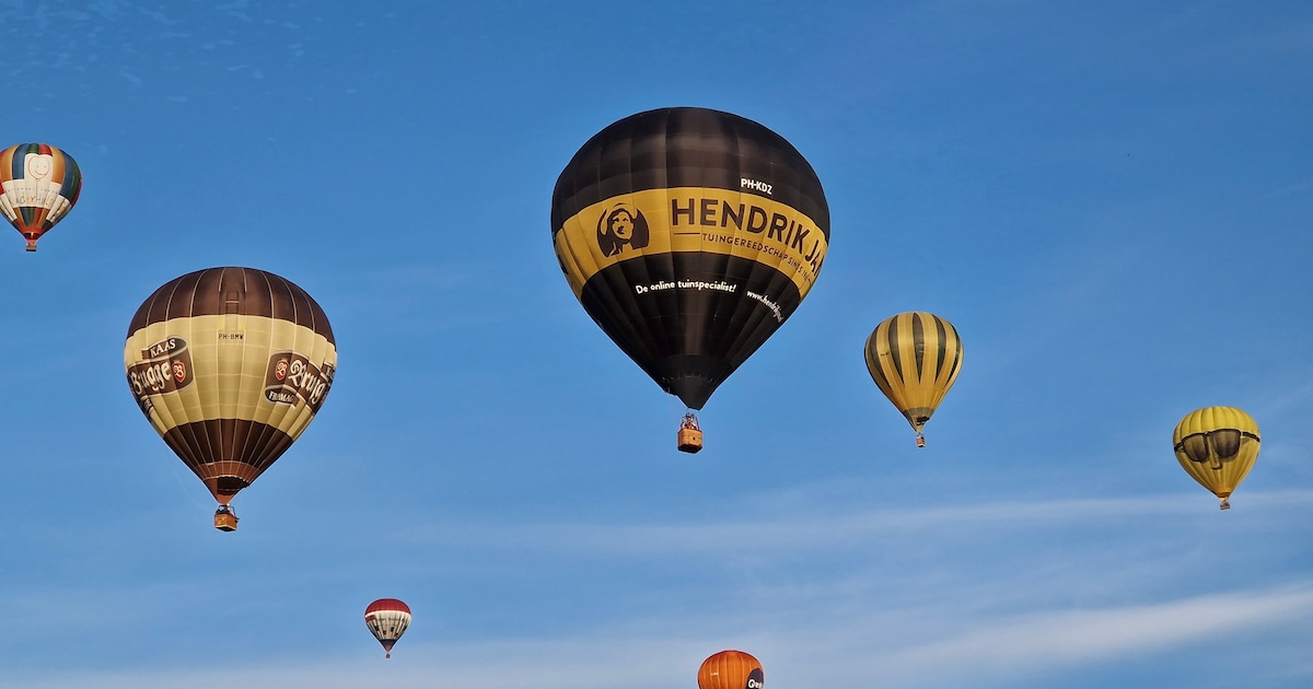Kinderen met beperking mogen mee in luchtballonnen tijdens Balloonfair