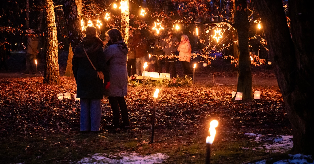 Lichtjesavond bij grootste hunebed van Nederland in Borger