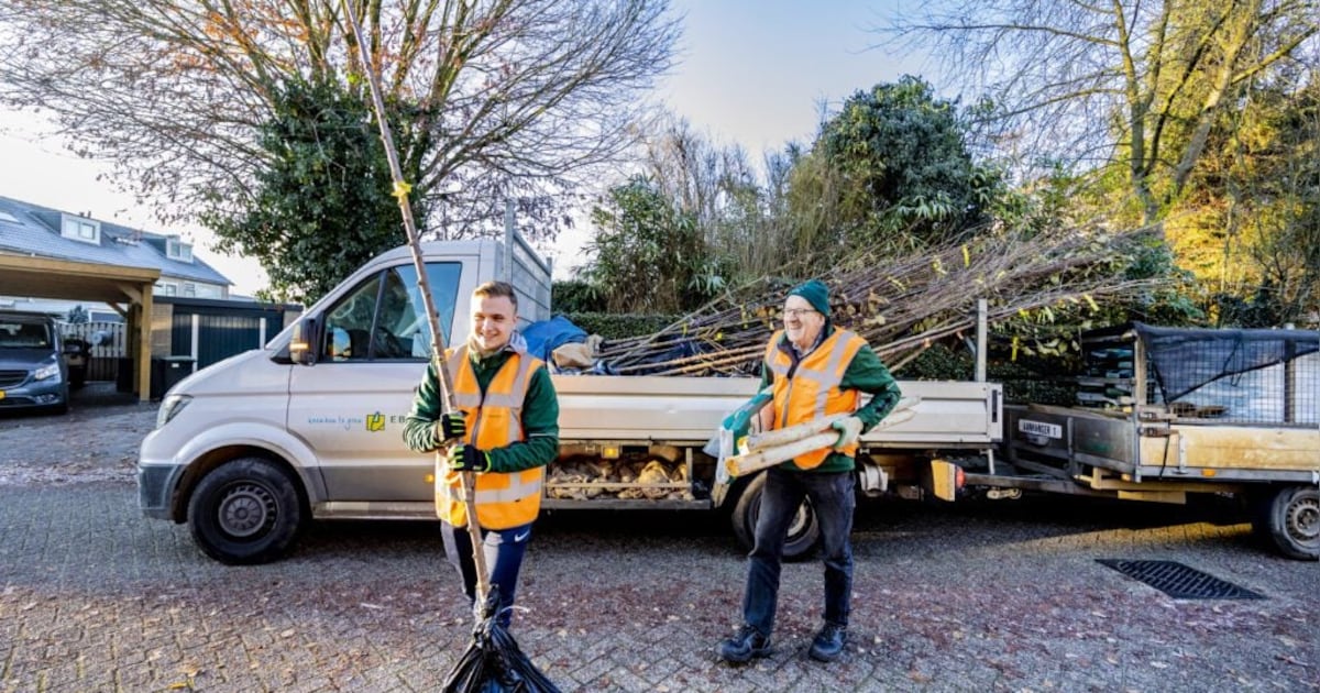 Gemeente Stein deelt gratis fruitbomen uit