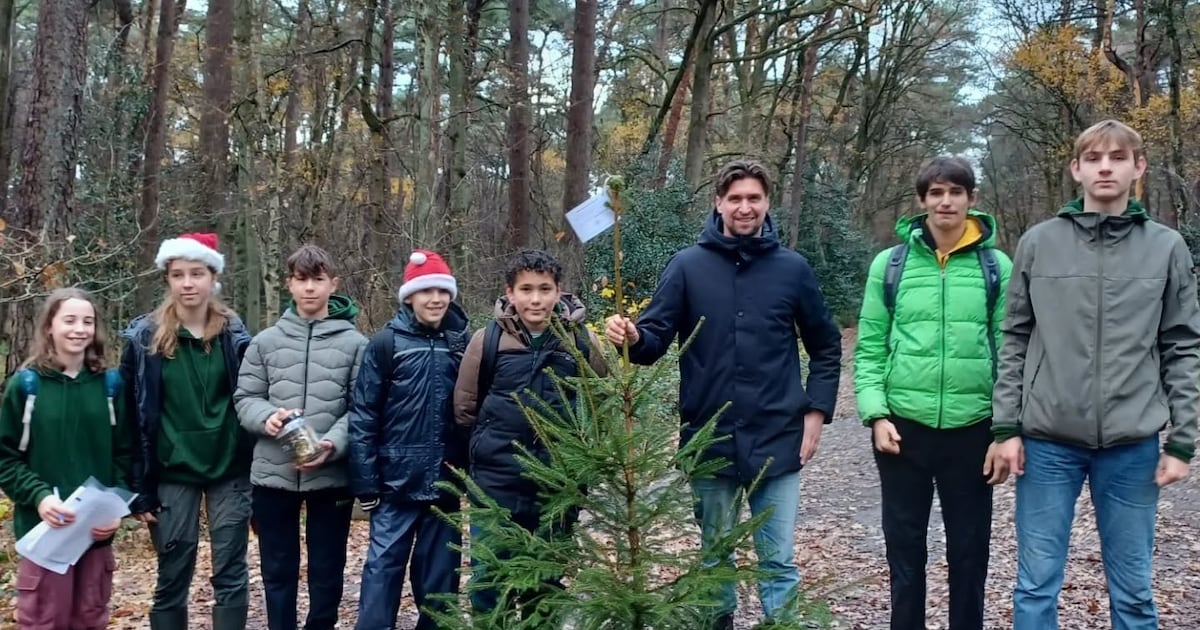 Junior Rangers delen kerstbomen uit in Woensdrecht