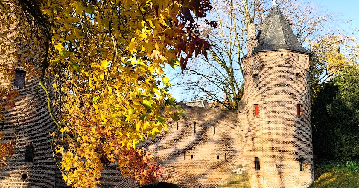 Dit zijn de mooiste herfstfoto’s uit Amersfoort ??