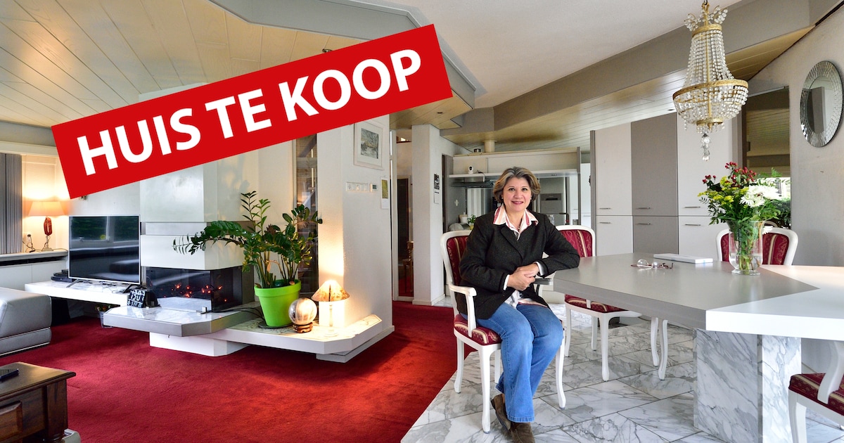 ‘Bijzonder’ interieur verhult doordachte architectuur met als blikvanger de woonkamer