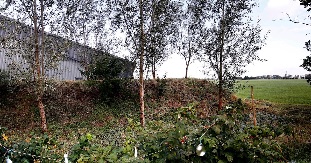 Schelluinenaar wil snel geld zien van Molenlanden: ‘Anders overdragen aan deurwaarder’