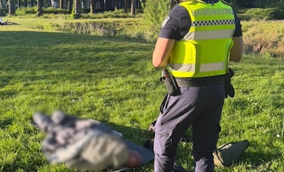 Naakte dronken man weggestuurd uit park in Eindhoven, krijgt twee bekeuringen