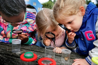 Op zoek naar bodemdieren met IVN Scharrelkids in Tilburg
