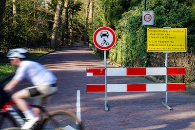 Hier moet de automobilist plaatsmaken voor padden: twee wegen gaan anderhalve maand dicht