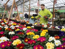 Tuincentra merken eerste lentedrukte door warme dagen: ‘Het kriebelt weer’