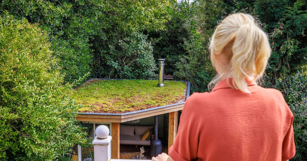Elburg geeft tips én subsidie voor een koelere tuin