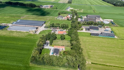‘Verhuizing’ megastal naar Maasbommel gaat niet door: ‘We moeten het open en groene karakter bescher