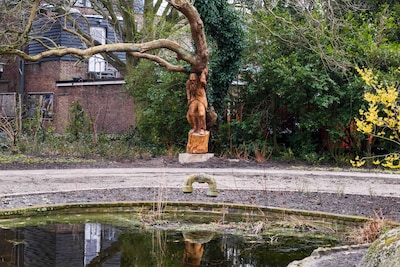 Image related to the article