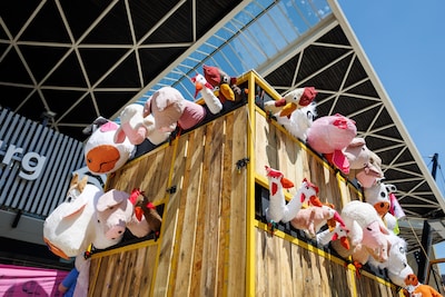 Image related to the article
