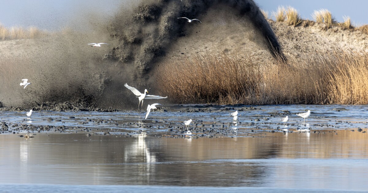 Waarom er al herstelwerk nodig is op Marker Wadden: ‘Bouwen met grote volumes slib was nooit eerder 