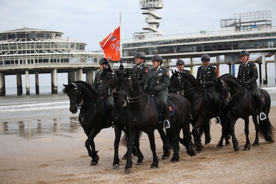 Paarden oefenen voor de prinsjesdagoptocht op het strand, ondanks bezwaar van Partij voor de Dieren