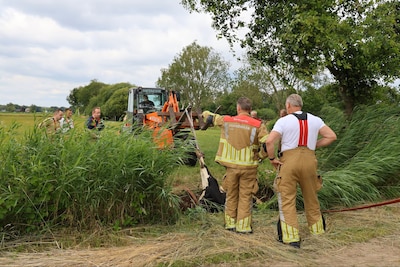Succesvolle reddingsactie in Rijssen: koe wordt door brandweer uit sloot gehaald
