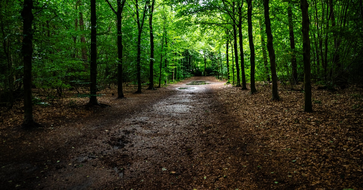 Staatsbosbeheer organiseert excursies in Kroon’s polders Vlieland voor jong en oud